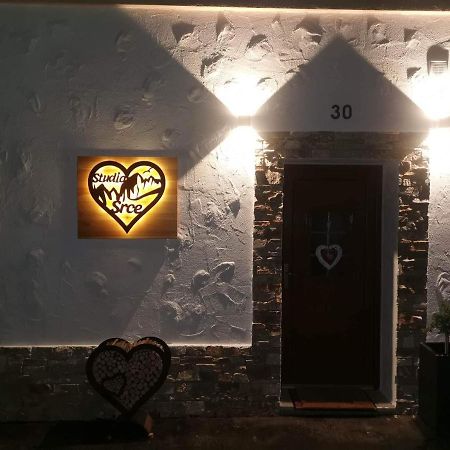 Studio Srce Kranjska Gora Zewnętrze zdjęcie